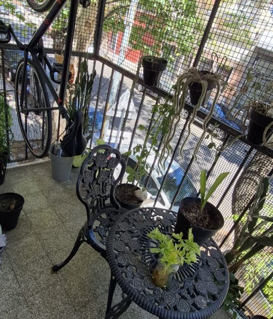 20251003_133707 [1600x1200]