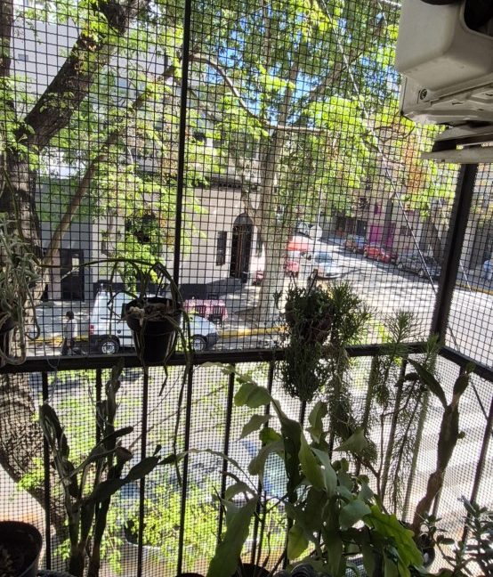 20251003_133711 [1600x1200]